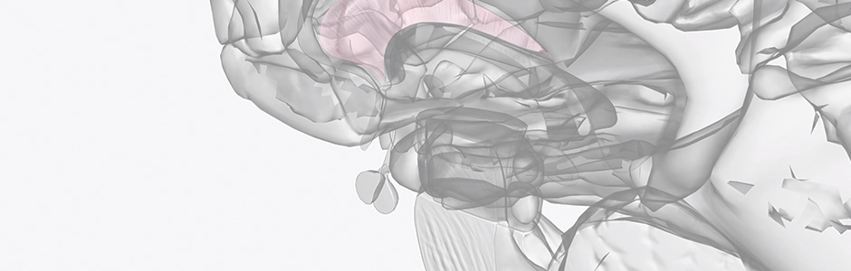 counseling medication